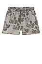 view 4 of 4 Charlie Poppy All Over Print Shorts in Olive Night