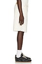 view 2 of 5 Carpenter Denim Shorts in Light Ivory