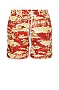 view 1 of 6 Stan Ruins Swim Shorts 2.0 in Bossa Nova & Summer Melon