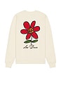 view 1 of 4 Flower Basket Sweatshirt in Ivory