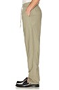view 2 of 5 Patrick Linen Pants in Laurel Oak Sand