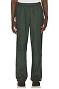 view 1 of 6 PANTALONES in Pine Green