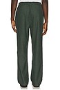 view 3 of 6 PANTALONES in Pine Green