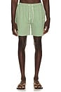 view 1 of 5 Stripe Seersucker Swim Shorts in Artichoke Green