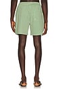 view 2 of 5 Stripe Seersucker Swim Shorts in Artichoke Green