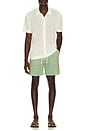 view 3 of 5 Stripe Seersucker Swim Shorts in Artichoke Green