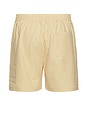 view 2 of 4 Stan Stripe Seersucker Swim Shorts in Mustard Yellow & Light Ivory