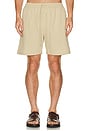 view 5 of 6 Stan Seersucker Swim Shorts in Irish Cream
