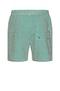 view 2 of 6 Stan Stripe Seersucker Swim Shorts in Evergreen