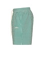 view 3 of 6 Stan Stripe Seersucker Swim Shorts in Evergreen