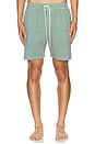 view 5 of 6 Stan Stripe Seersucker Swim Shorts in Evergreen