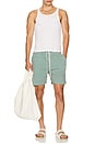 view 6 of 6 Stan Stripe Seersucker Swim Shorts in Evergreen