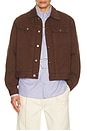 view 1 of 4 Denim Trucker Jacket in Brown