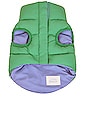 view 2 of 5 PARKA PARA MASCOTAS SUPER DUPER REVERSIBLE PARKA in Blue & Green