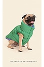 view 4 of 5 PARKA POUR CHIEN SUPER DUPER REVERSIBLE PARKA in Blue & Green