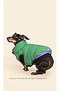 view 5 of 5 PARKA POUR CHIEN SUPER DUPER REVERSIBLE PARKA in Blue & Green