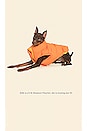 view 3 of 4 PARKA POUR CHIEN SUPER DUPER REVERSIBLE PARKA in Orange & Yellow