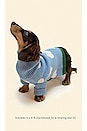 view 3 of 3 Silver Linings Pet Sweater in Blue, Green, & White