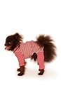 view 5 of 5 Striped Onesie in Brown & White