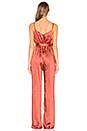 view 3 of 3 Dawn Jumpsuit in Rust