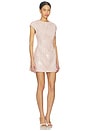 view 2 of 4 Rosamina Mini Dress in Blush