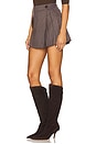 view 3 of 6 Zadie Pleated Mini Skirt in Brown Multi