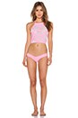 view 4 of 4 The Tel Aviv Bikini Top in Tropical Pink