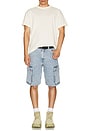 view 5 of 5 478 Baggy Cargo Shorts in My Pockets Full