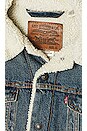 view 3 of 4 Type 3 Sherpa Trucker Jacket in Fable