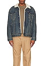 view 4 of 4 Type 3 Sherpa Trucker Jacket in Fable