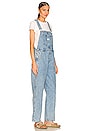 view 2 of 3 Vintage Overall in No Stone Unturned