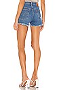 view 3 of 4 X REVOLVE 501 Original Short in Charleston Rip
