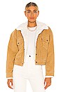 view 1 of 4 New Heritage Cord Faux Fur Trucker Jacket in Iced Coffee Warm 10