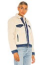 view 2 of 4 Ex Bf Pieced Sherpa Trucker Jacket in Counting Sheep