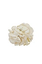 view 4 of 4 PINZA PEONY in Ivory