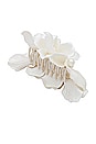 view 1 of 4 Magnolia Claw Clip in Ivory