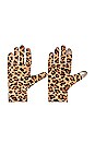 view 1 of 2 Printed Washable Gloves in Leopard