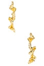 view 3 of 3 Scallop Ruffle Edged Hoop Earrings in Gold