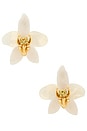 view 1 of 2 ORCHID スタッズイヤリング in Mop