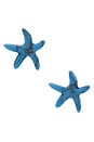 view 1 of 2 PENDIENTES DE TACHUELA STARFISH in Turquoise