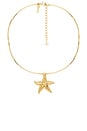view 1 of 2 COLLAR COLGANTE STARFISH in Gold