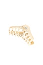 view 1 of 4 Hudson Claw Clip in Light Tortoise