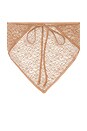 view 2 of 3 Sheer Lace Bandana in Nude