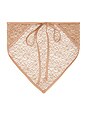 view 3 of 3 Sheer Lace Bandana in Nude