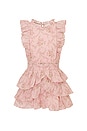 view 1 of 1 VESTIDO in Spiced Camellia