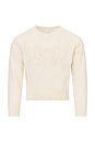 view 1 of 1 PULL ZOLEE  in Cozy Ivory