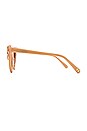 view 3 of 3 LUNETTES DE SOLEIL AMALIA in Golden Peach