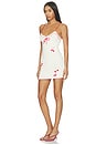 view 2 of 4 Yelena Dress in Cherry Sail