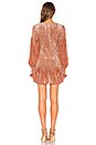 view 3 of 3 Scarlett Mini Dress in Cinnabar