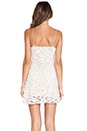 view 3 of 5 Baroque Lace Mini Slip Dress in Cream